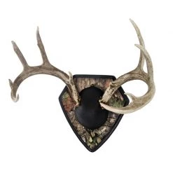 Allen Big Buck Trophy Mount Kit, Mossy Oak Break-Up Country