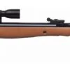 Crosman Valiant (.177) -Outlet Sporting Goods Store 1400202