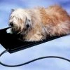 Allied Precision Heated Pet Mat Small 13" x 19" 1 Allied Precision Heated Pet Mat Small 13" x 19" -Outlet Sporting Goods Store 15930039 1
