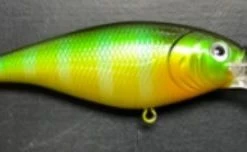 Berkley Flicker Shad Lure, Size 7 6 Berkley Flicker Shad Lure, Size 7 -Outlet Sporting Goods Store 2354212 sunny 3 1