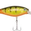 Berkley Fishing Flicker Shad Lure #7 2 Berkley Fishing Flicker Shad Lure #7 -Outlet Sporting Goods Store 2354417 firetail hot perch 1 1 1