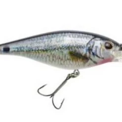 Berkley Fishing Flicker Shad Lure #5 15 Berkley Fishing Flicker Shad Lure #5 -Outlet Sporting Goods Store 2354422 hd spottail shiner 1 1