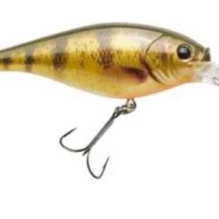 Berkley Fishing Flicker Shad Lure #7 14 Berkley Fishing Flicker Shad Lure #7 -Outlet Sporting Goods Store 2354423 hd yellow perch 2 1 1