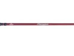 Berkley Cherrywood® HD Casting Rod 7' M, 2 Piece 7 Berkley Cherrywood® HD Casting Rod 7' M, 2 Piece -Outlet Sporting Goods Store 2356003 2 4 1