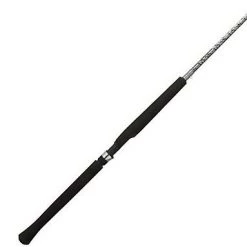 Berkley® C-Series Crappie Pro Light Spinning Rod - 10 feet