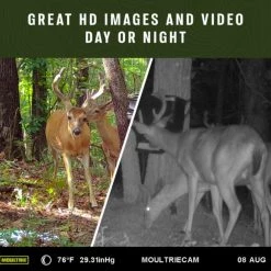 Moultrie Mobile Delta Base Cellular Trail Camera -Outlet Sporting Goods Store 27020061 3 2