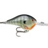 Rapala DT (Dives-To) Series -Outlet Sporting Goods Store 3097654