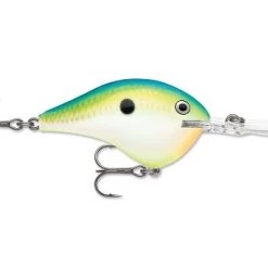 Rapala DT (Dives-To) Series -Outlet Sporting Goods Store 3097677
