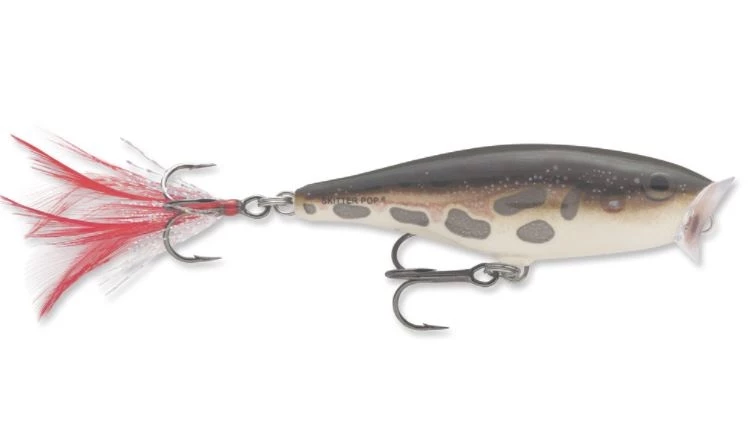 Rapala Skitter Pop, 2 3/4" 3 Rapala Skitter Pop, 2 3/4"