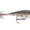 Rapala Skitter Pop, 2 3/4"