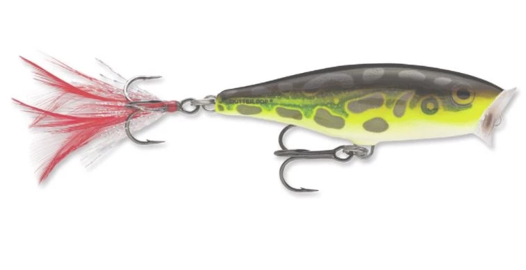 Rapala Skitter Pop, 2 3/4" 5 Rapala Skitter Pop, 2 3/4" - Image 3