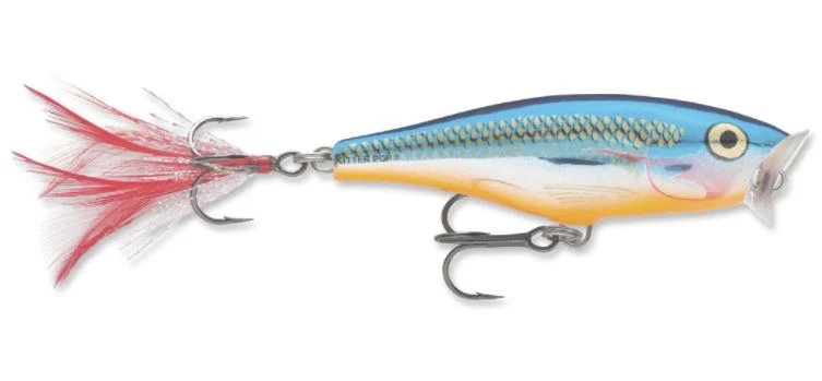 Rapala Skitter Pop, 2 3/4" 6 Rapala Skitter Pop, 2 3/4" - Image 4
