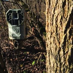 Economy Tree Mount Trial Cam Holder 5 Economy Tree Mount Trial Cam Holder -Outlet Sporting Goods Store 31590004 2