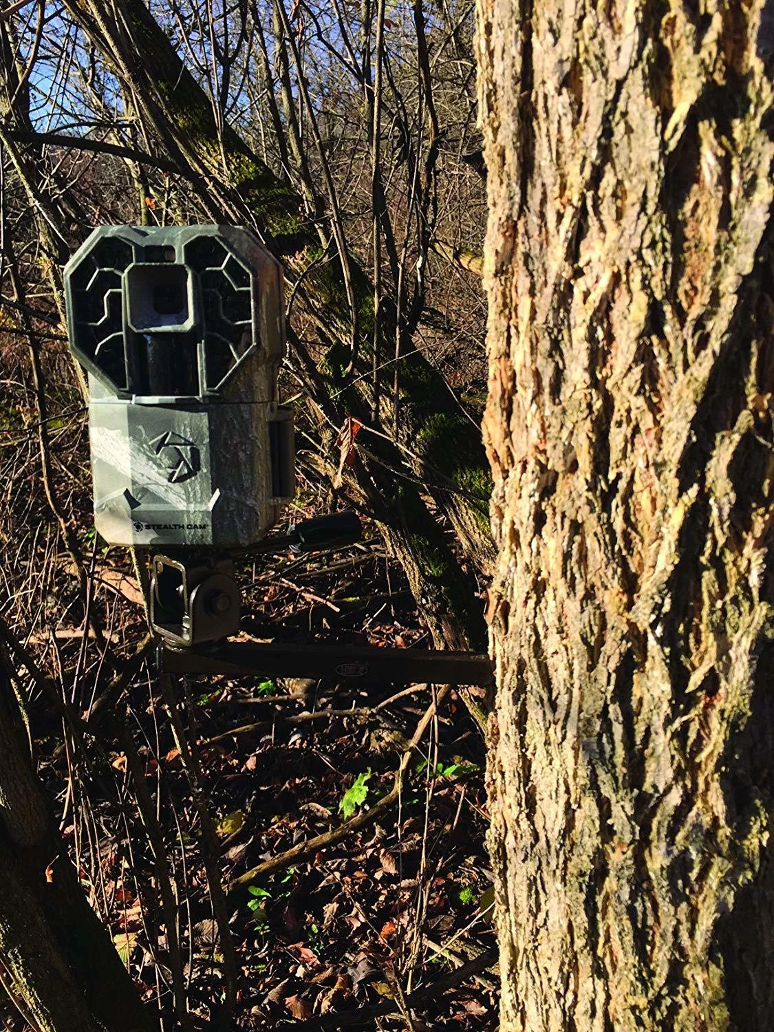 Economy Tree Mount Trial Cam Holder 4 Economy Tree Mount Trial Cam Holder - Image 2