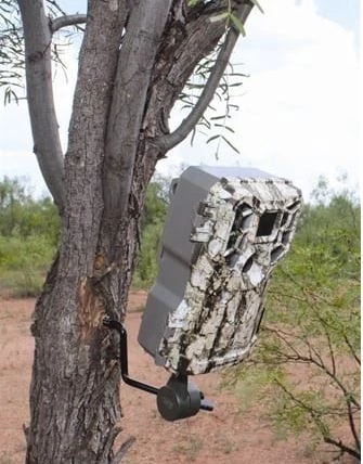 HME Economy Trail Camera Holder 4 HME Economy Trail Camera Holder - Image 2