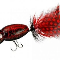 Lindy Arbogast Hula Popper 2.0