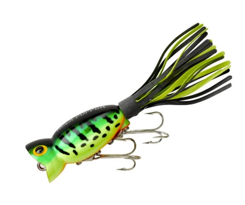 Lindy Arbogast Hula Popper Lure, Fire Tiger 3 Lindy Arbogast Hula Popper Lure, Fire Tiger