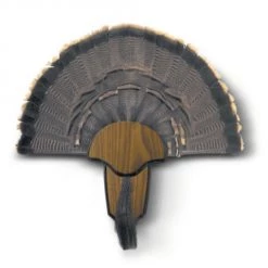 Hunters Specialties Turkey Tail & Beard Mounting Kit -Outlet Sporting Goods Store 4221115 2
