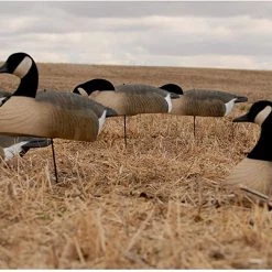 Avery 70005 GHG Essential Canada Goose Shell Decoys - 1 doz -Outlet Sporting Goods Store 42410506 3 1