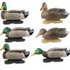 Avery Pro Grade Foam Filled Mallards Harvester, 6-Pack -Outlet Sporting Goods Store 42411101
