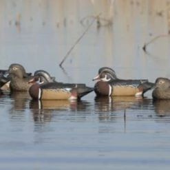 Avery Pro-Grade Series Wood Ducks, 6-Pack -Outlet Sporting Goods Store 42411103 1 1