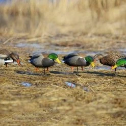 Avery Pro Grade Mallard Full Body Duck Decoys, 6-Pack -Outlet Sporting Goods Store 42411106 1 1
