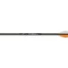 Eastman Gameslayer Carbon 250 30" Arrow -Outlet Sporting Goods Store 46970030 1