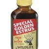 Wildlife Research Special Golden Estrus