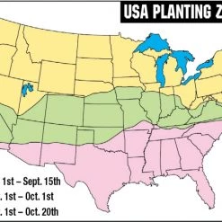 Antler King Lights Out Forage Oats - 12 lbs -Outlet Sporting Goods Store 53580099 1 1