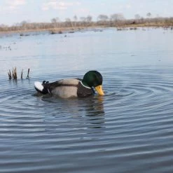 MOJO HW 2443 Rippler -Outlet Sporting Goods Store 67970002 5 1