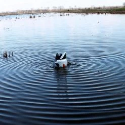 MOJO HW2459 Butt Up Rippler 7 MOJO HW2459 Butt Up Rippler -Outlet Sporting Goods Store 67970007 1