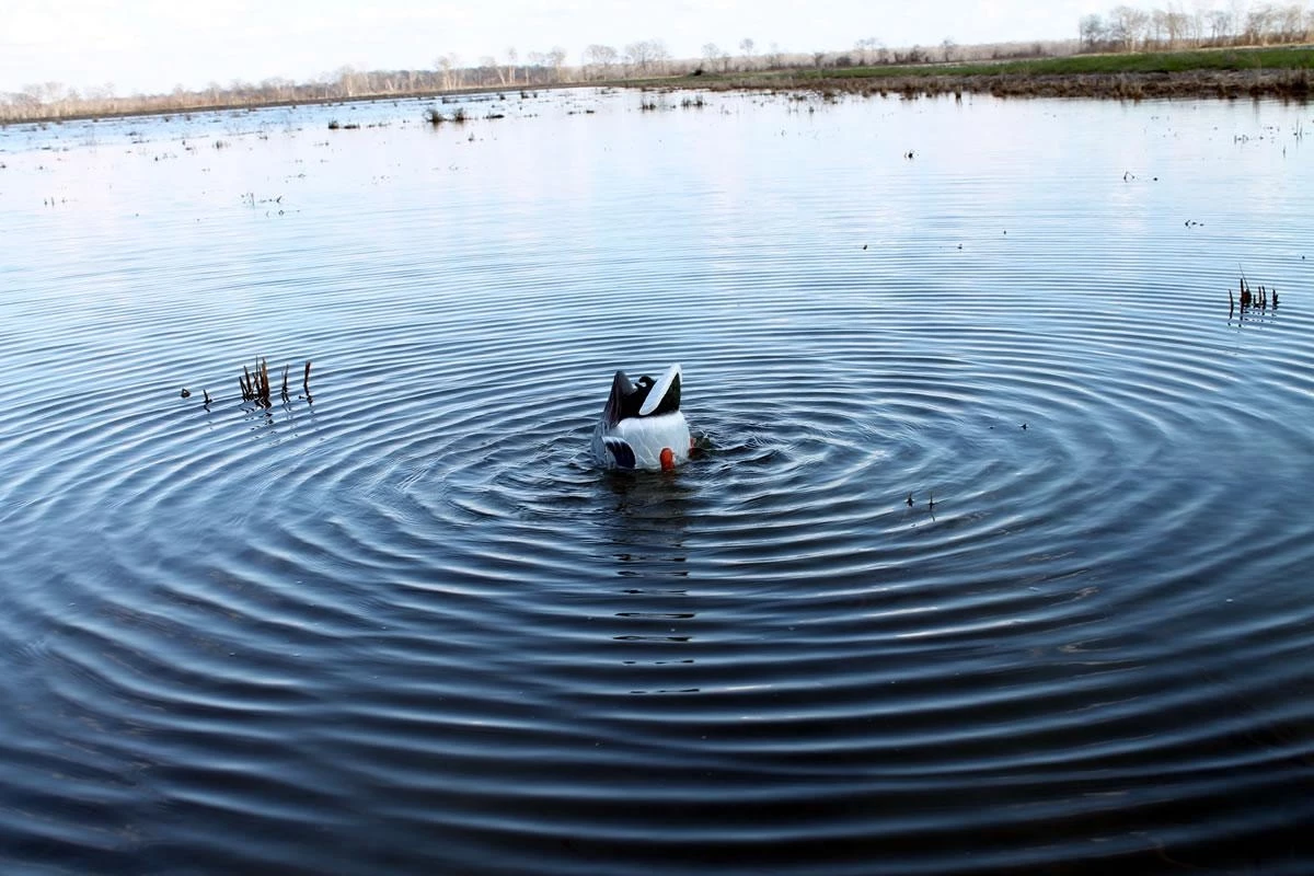 MOJO HW2459 Butt Up Rippler 4 MOJO HW2459 Butt Up Rippler - Image 2