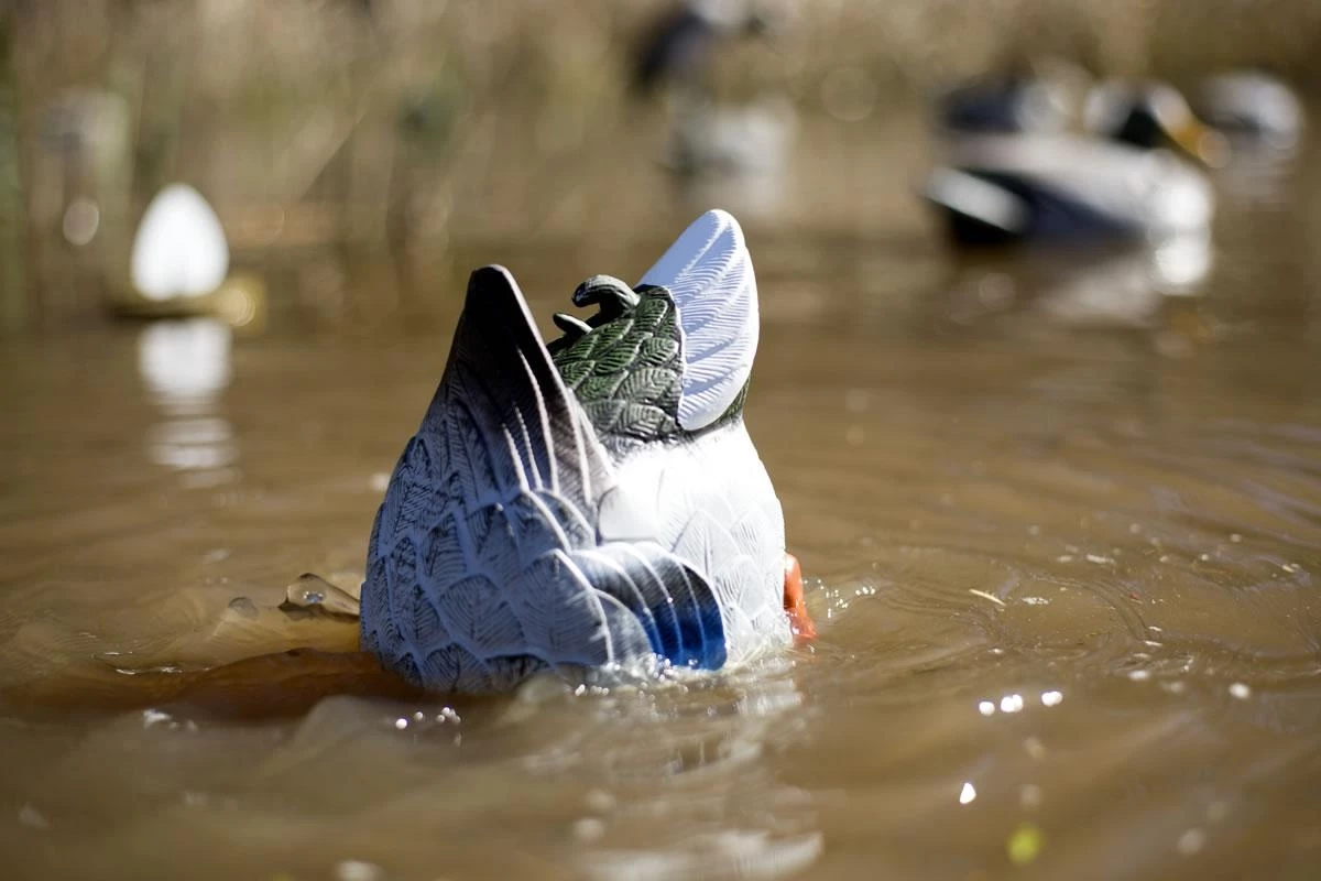 MOJO HW2459 Butt Up Rippler 3 MOJO HW2459 Butt Up Rippler