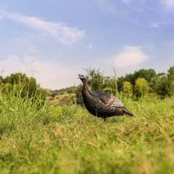Flextone Thunder Jake ¼ Strut Turkey Decoy -Outlet Sporting Goods Store 69670001 2 1