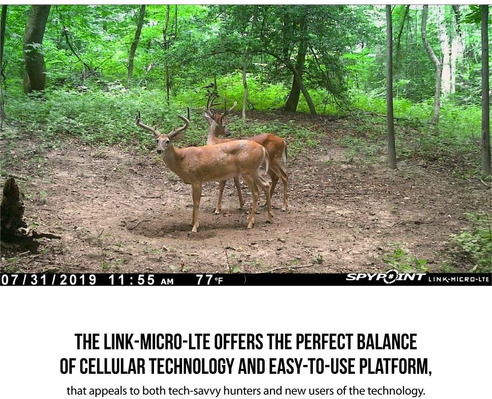 Spypoint Link-Micro-LTE Cellular Trail Camera (AT&T) 6 Spypoint Link-Micro-LTE Cellular Trail Camera (AT&T) - Image 4