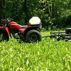 Antler King Chicory - 1 lb -Outlet Sporting Goods Store akc1 2 1