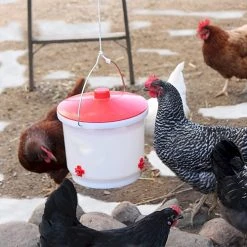 Farm Innovators Heated 2 Gallon Poultry Drinker -Outlet Sporting Goods Store hb 60p 4 1