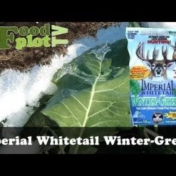Whitetail Institute Imperial Winter-Greens (Annual) - 3 LB -Outlet Sporting Goods Store hqdefault 30 51 1
