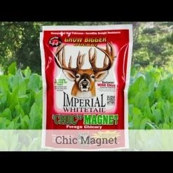 Whitetail Institute ChicMagnet (Perennial) – 3 LB -Outlet Sporting Goods Store hqdefault 30 52