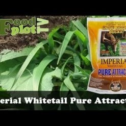 Whitetail Institute Imperial Pure Attraction (Annual) - 26 LB -Outlet Sporting Goods Store hqdefault 30 53