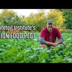 Whitetail Institute VISION (Perennial) - 4 LB 11 Whitetail Institute VISION (Perennial) - 4 LB -Outlet Sporting Goods Store hqdefault 30 62 1