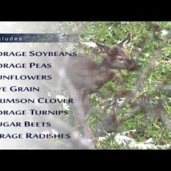 Frigid Forage Monster Magnet – 8.5 lb / 1/3 Acre Bag 13 Frigid Forage Monster Magnet – 8.5 lb / 1/3 Acre Bag -Outlet Sporting Goods Store hqdefault 30 65 1