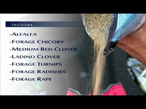 Frigid Forage Wall Hanger – 4 lb / 1/2 Acre Bag 7 Frigid Forage Wall Hanger – 4 lb / 1/2 Acre Bag - Image 5