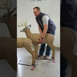 Shooter Targets Big Shooter Buck