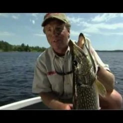 Rapala Down Deep Husky Jerk | DHJ 31 Rapala Down Deep Husky Jerk | DHJ -Outlet Sporting Goods Store hqdefault 32 3