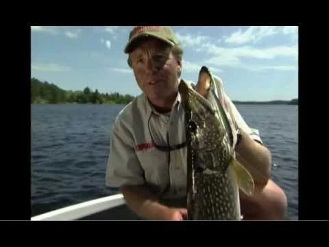 Rapala Down Deep Husky Jerk | DHJ 17 Rapala Down Deep Husky Jerk | DHJ - Image 15