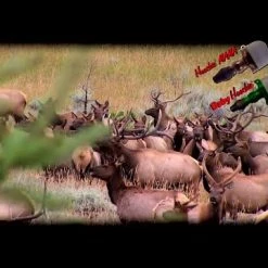 Hoochie Mama Elk Call Push -Outlet Sporting Goods Store hqdefault 55 8