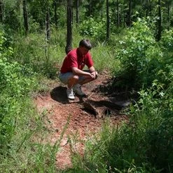 Whitetail Institute 30-06 Mineral/Vitamin Plus Protein - 20 LB -Outlet Sporting Goods Store mp20 4