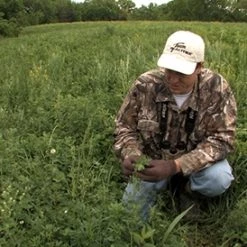 Frigid Forage Wall Hanger – 4 lb / 1/2 Acre Bag -Outlet Sporting Goods Store wallhng4.0 2 1