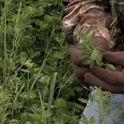 Frigid Forage Wall Hanger – 4 lb / 1/2 Acre Bag 9 Frigid Forage Wall Hanger – 4 lb / 1/2 Acre Bag -Outlet Sporting Goods Store wallhng4.0 3